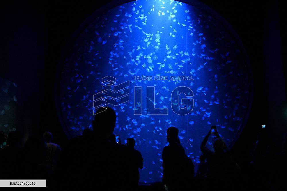 Singapore Oceanarium - Singapore