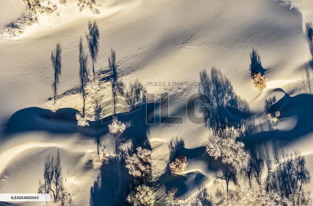 Populus Euphratica Forest - China