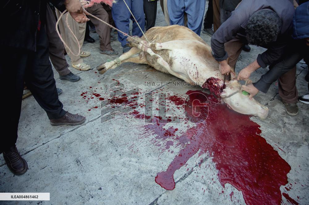 Pir Shalyar Celebration in Kurdistan Iran