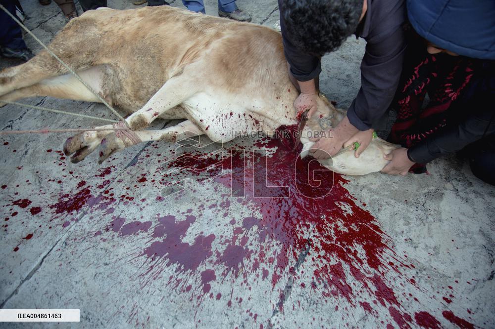Pir Shalyar Celebration in Kurdistan Iran