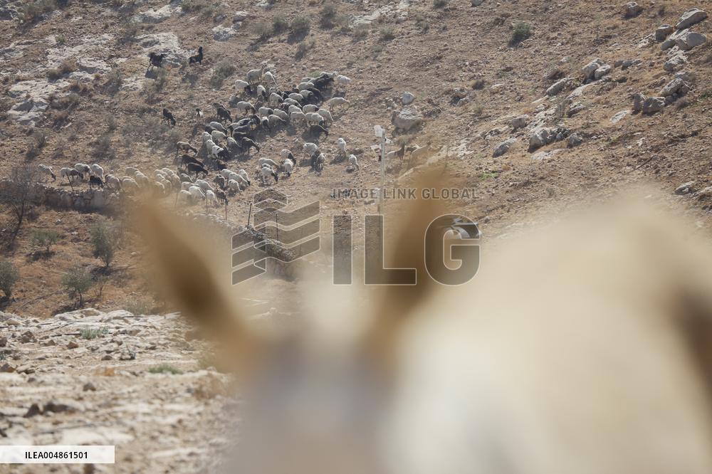 Hebron Area Village Faces Demolition