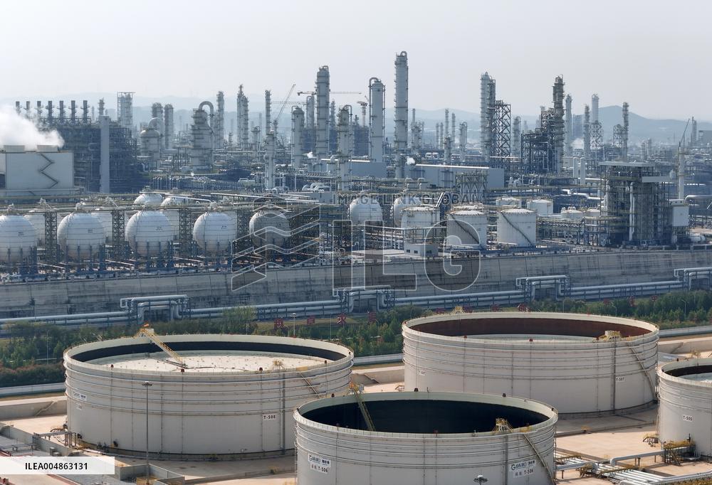 Wanhua Chemical Revenue Increased