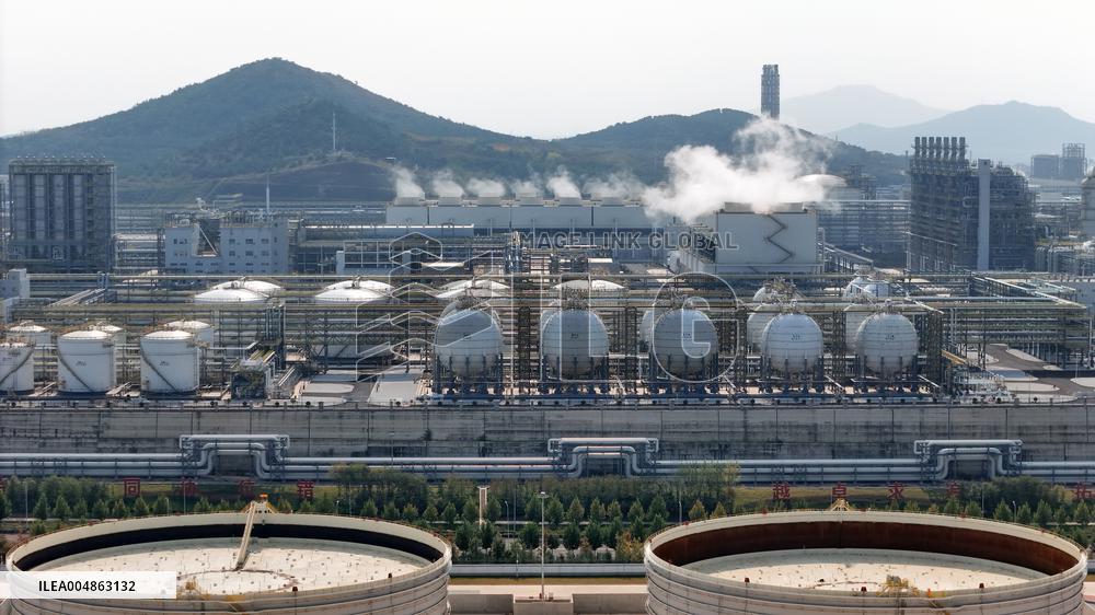 Wanhua Chemical Revenue Increased