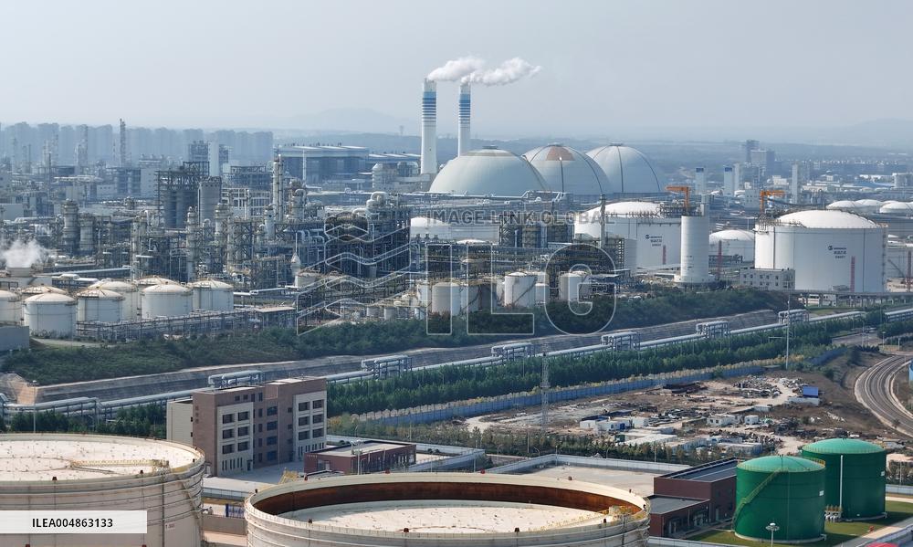 Wanhua Chemical Revenue Increased