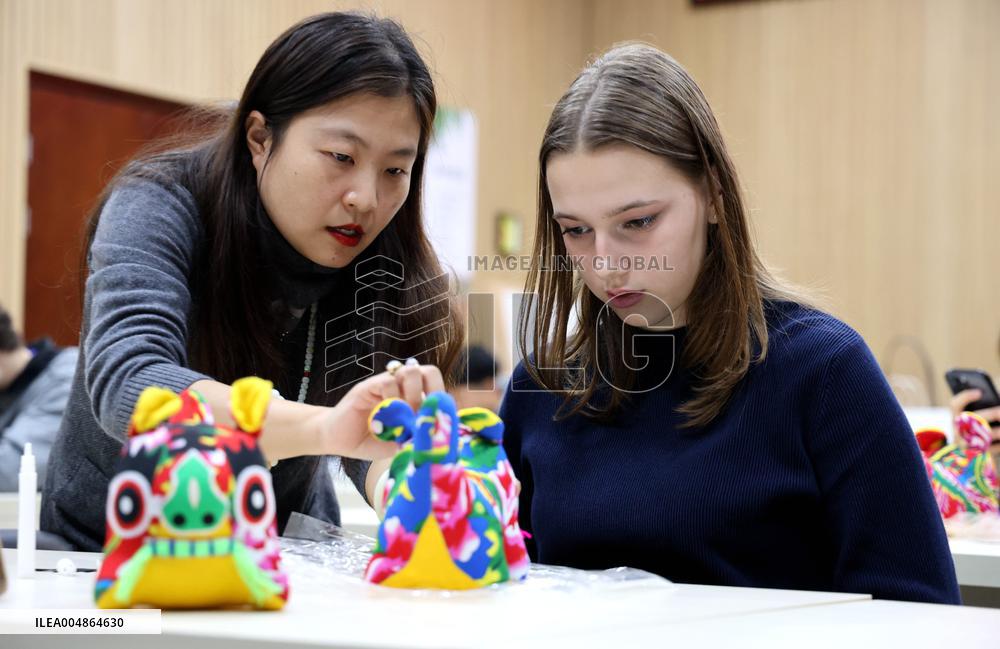 Confucius Institutes in Alsace Cultural Exchange Delegation