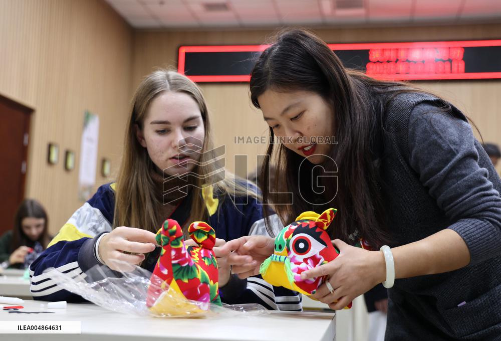 Confucius Institutes in Alsace Cultural Exchange Delegation