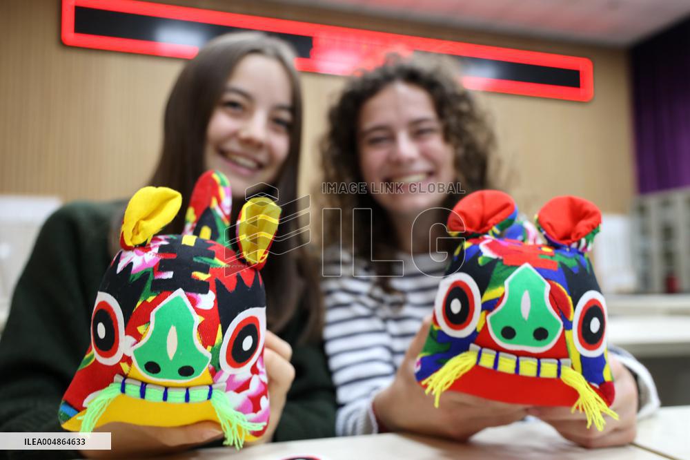 Confucius Institutes in Alsace Cultural Exchange Delegation