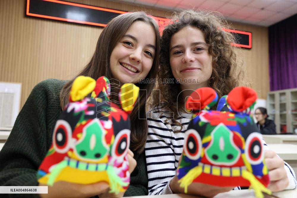 Confucius Institutes in Alsace Cultural Exchange Delegation