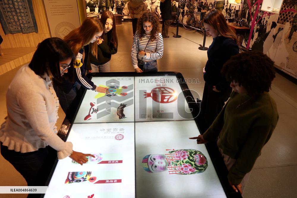 Confucius Institutes in Alsace Cultural Exchange Delegation