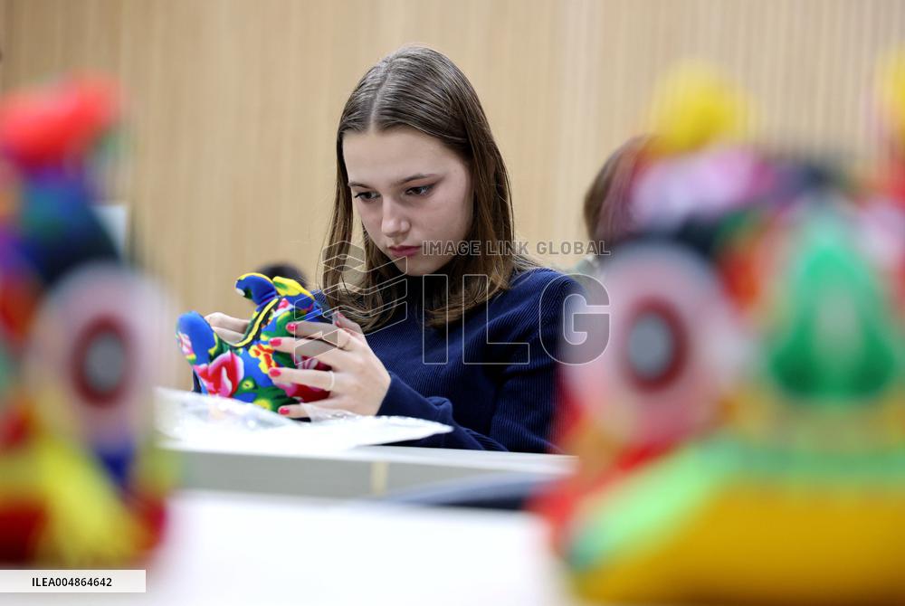 Confucius Institutes in Alsace Cultural Exchange Delegation