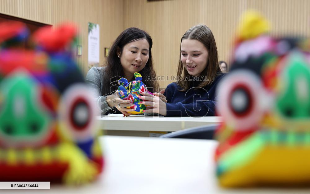 Confucius Institutes in Alsace Cultural Exchange Delegation