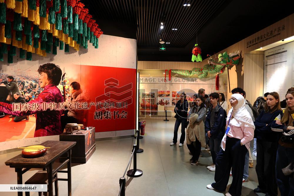 Confucius Institutes in Alsace Cultural Exchange Delegation