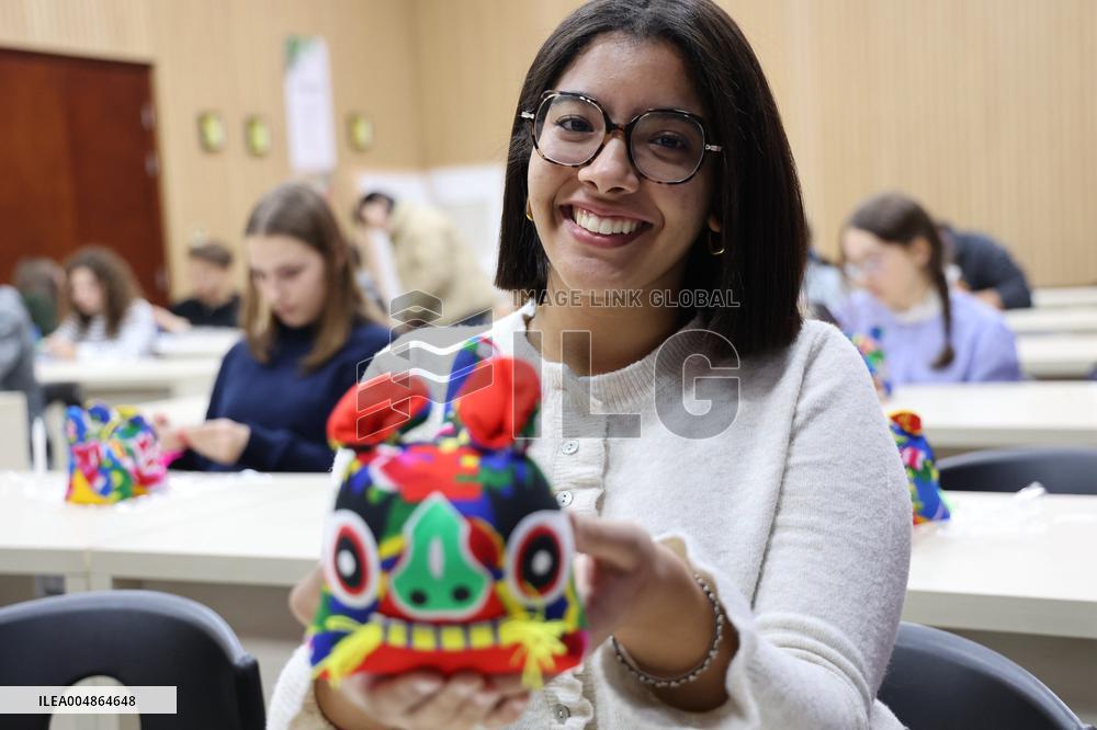 Confucius Institutes in Alsace Cultural Exchange Delegation