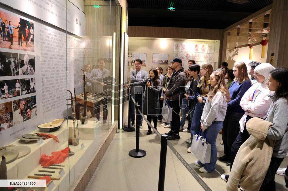 Confucius Institutes in Alsace Cultural Exchange Delegation