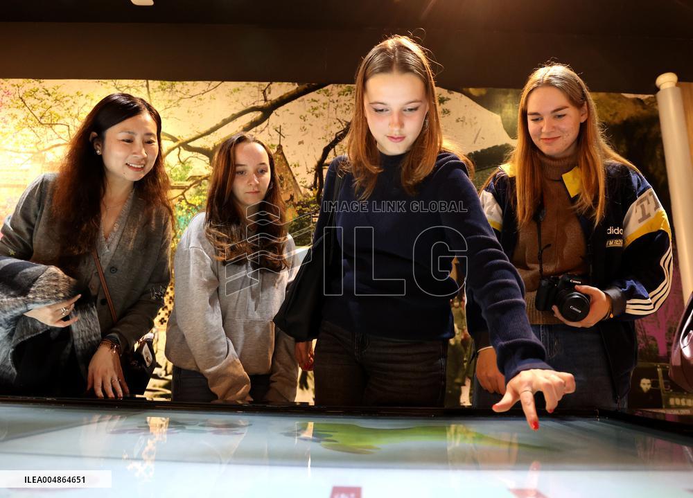 Confucius Institutes in Alsace Cultural Exchange Delegation