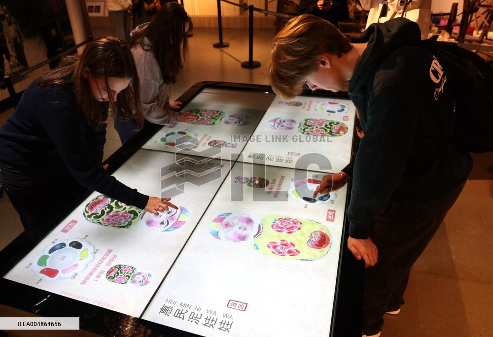 Confucius Institutes in Alsace Cultural Exchange Delegation