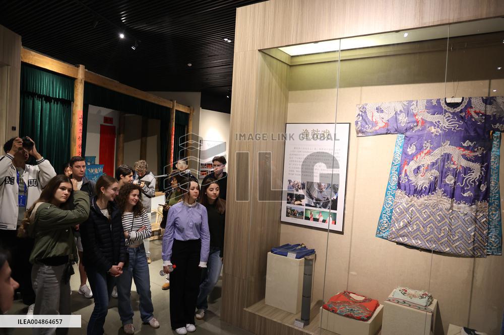 Confucius Institutes in Alsace Cultural Exchange Delegation