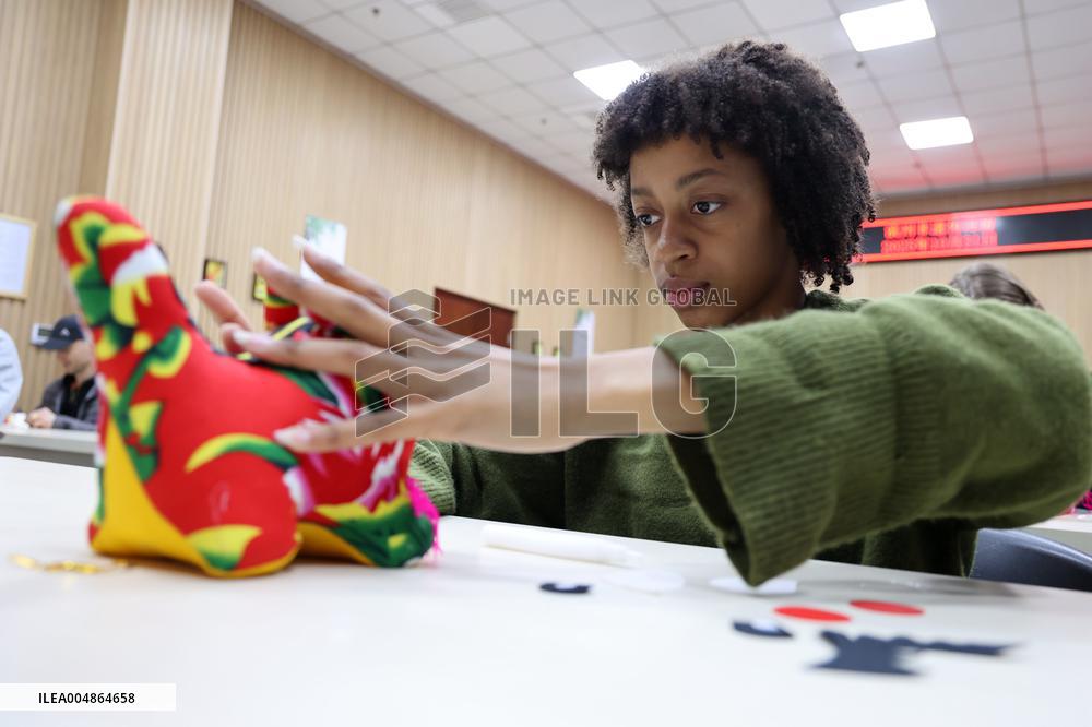 Confucius Institutes in Alsace Cultural Exchange Delegation