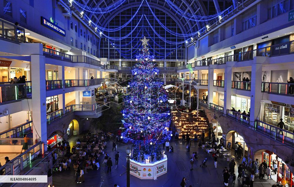 Christmas tree lighting