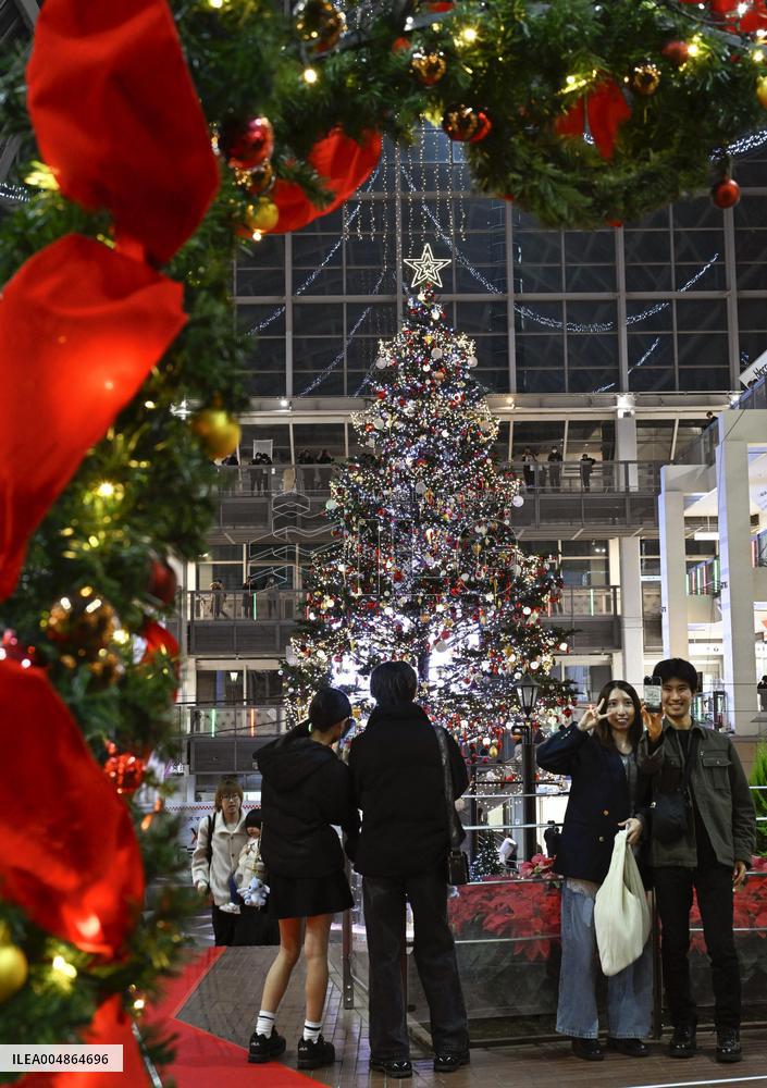 Christmas tree lighting