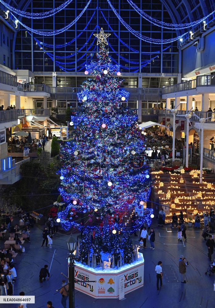 Christmas tree lighting