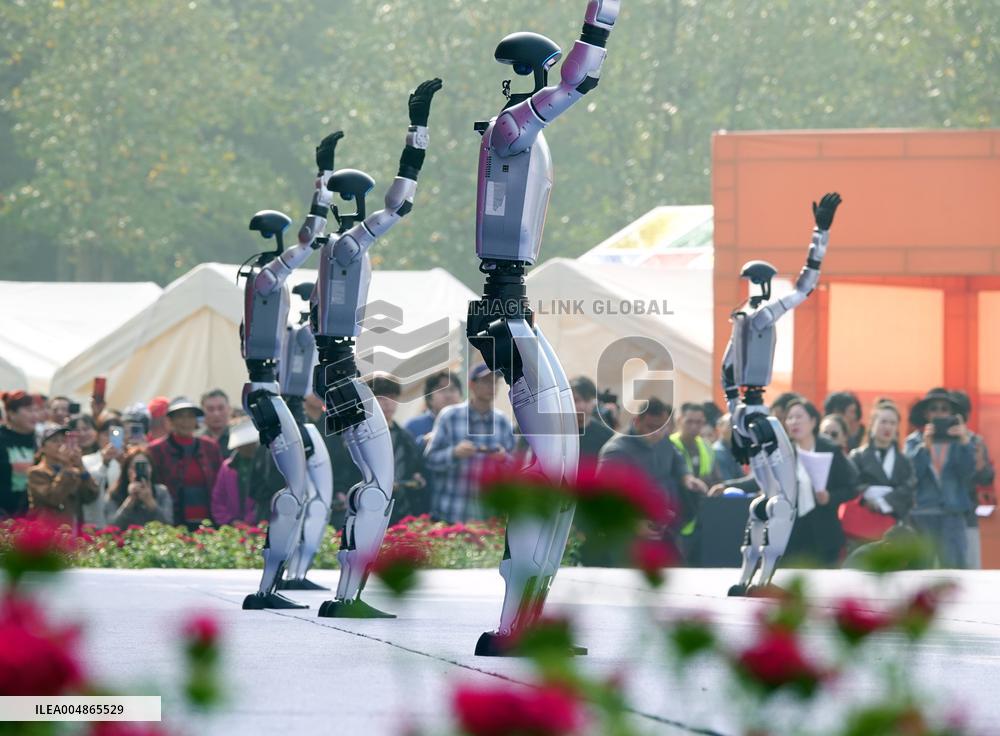 Robots Dancing at Chrysanthemum Exhibition in Yichan