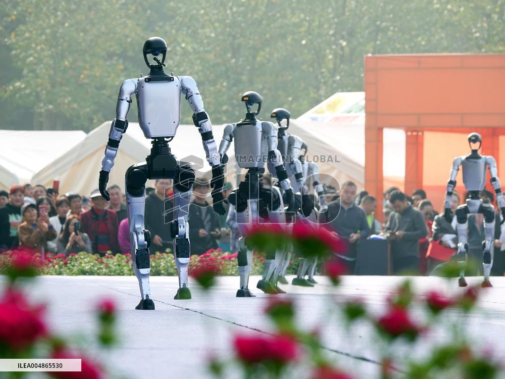 Robots Dancing at Chrysanthemum Exhibition in Yichan