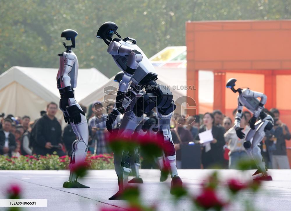 Robots Dancing at Chrysanthemum Exhibition in Yichan