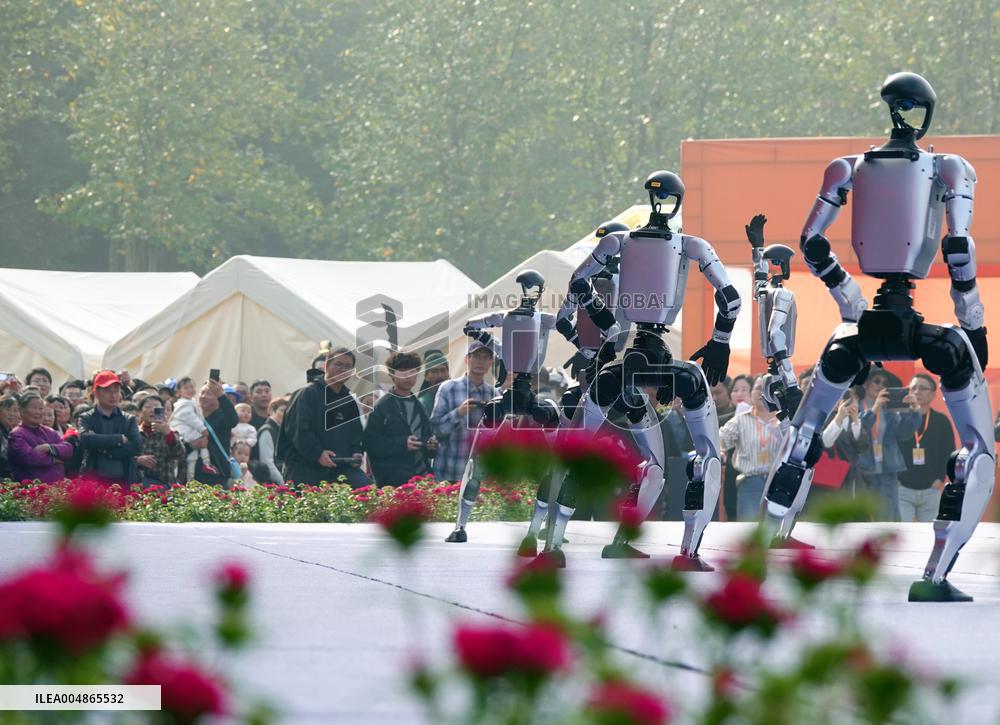 Robots Dancing at Chrysanthemum Exhibition in Yichan