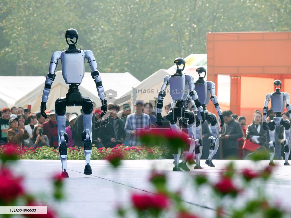 Robots Dancing at Chrysanthemum Exhibition in Yichan