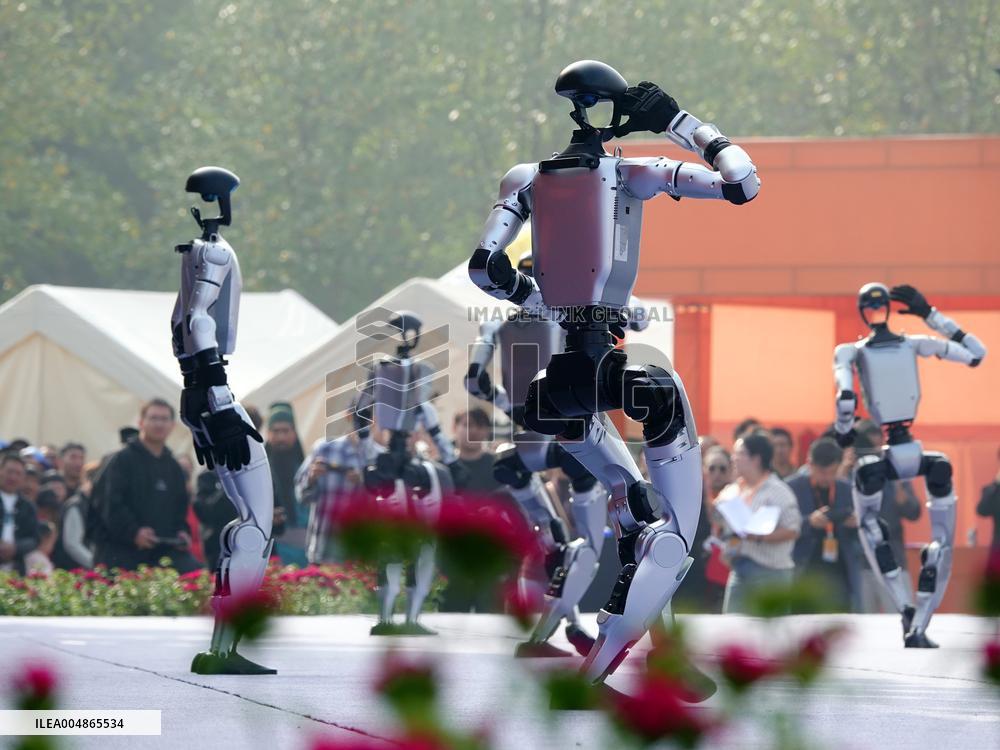 Robots Dancing at Chrysanthemum Exhibition in Yichan