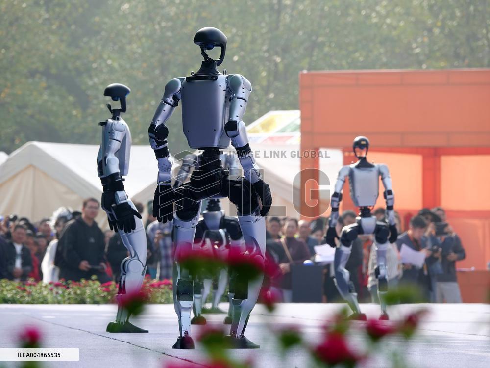 Robots Dancing at Chrysanthemum Exhibition in Yichan