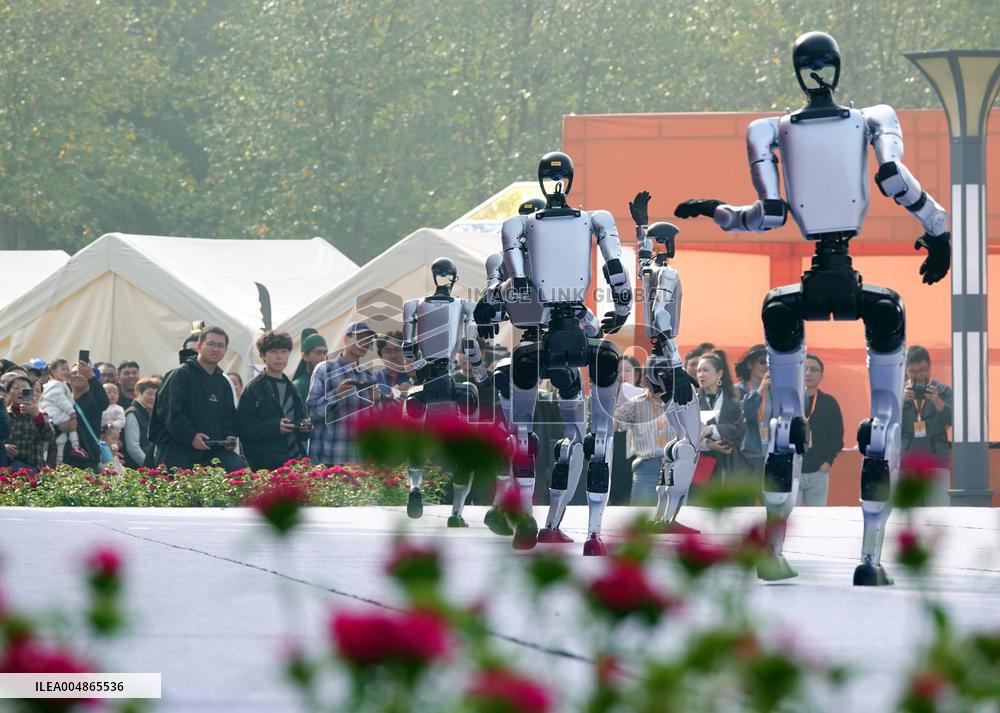 Robots Dancing at Chrysanthemum Exhibition in Yichan