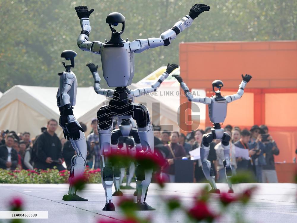 Robots Dancing at Chrysanthemum Exhibition in Yichan