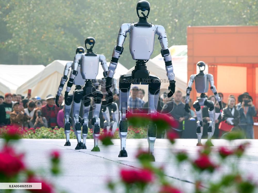 Robots Dancing at Chrysanthemum Exhibition in Yichan