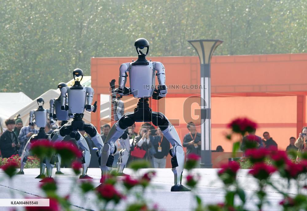 Robots Dancing at Chrysanthemum Exhibition in Yichan