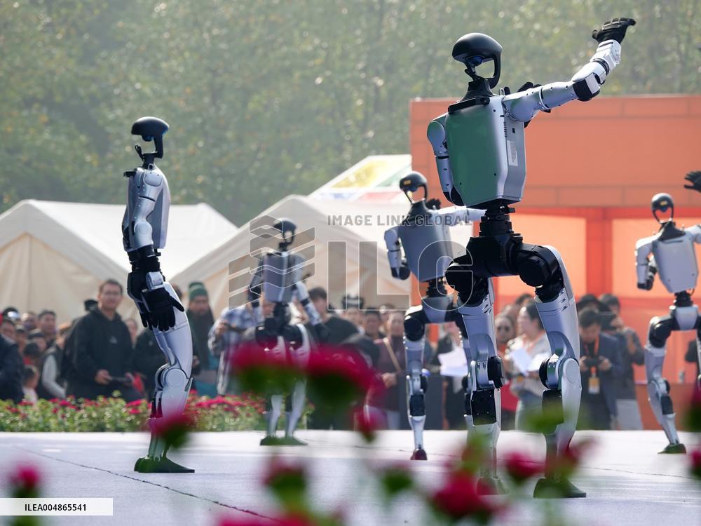 Robots Dancing at Chrysanthemum Exhibition in Yichan