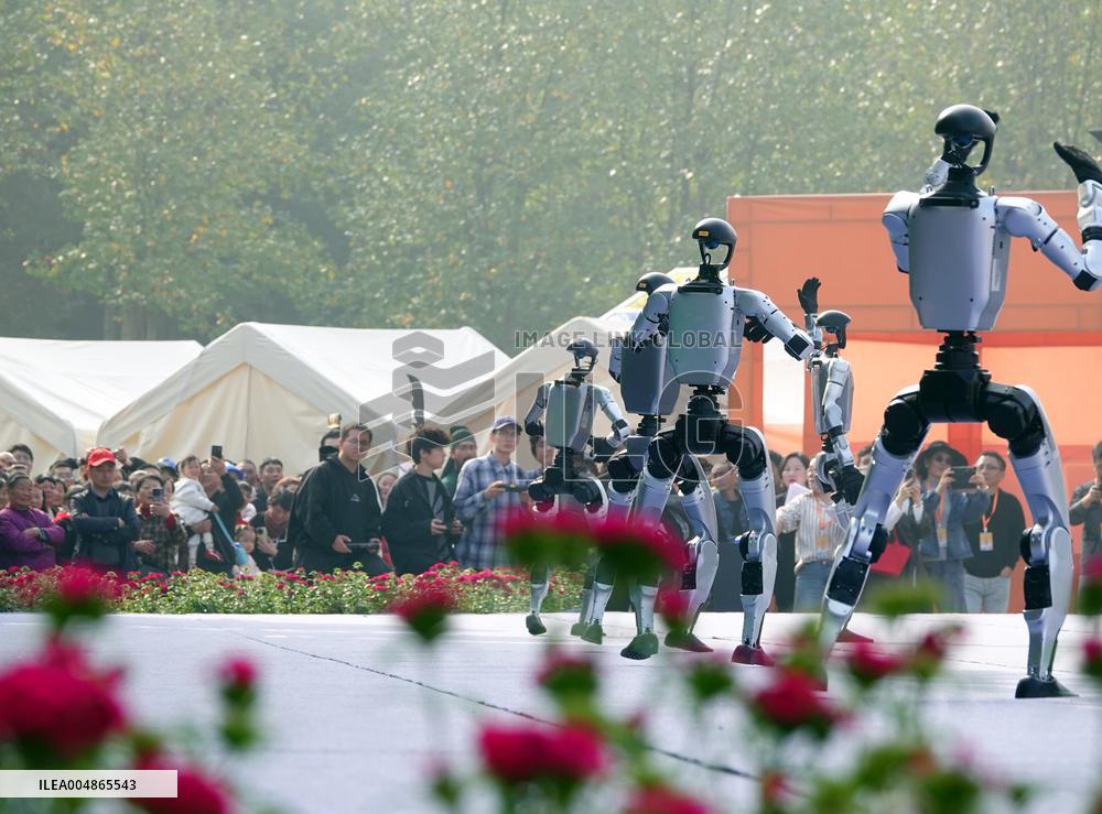 Robots Dancing at Chrysanthemum Exhibition in Yichan