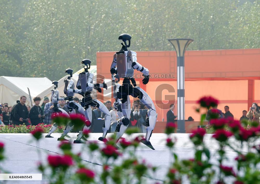 Robots Dancing at Chrysanthemum Exhibition in Yichan