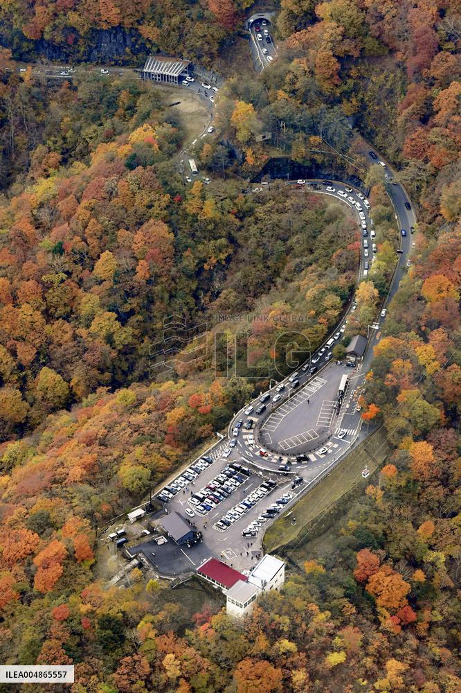 Autumn leaves in Nikko