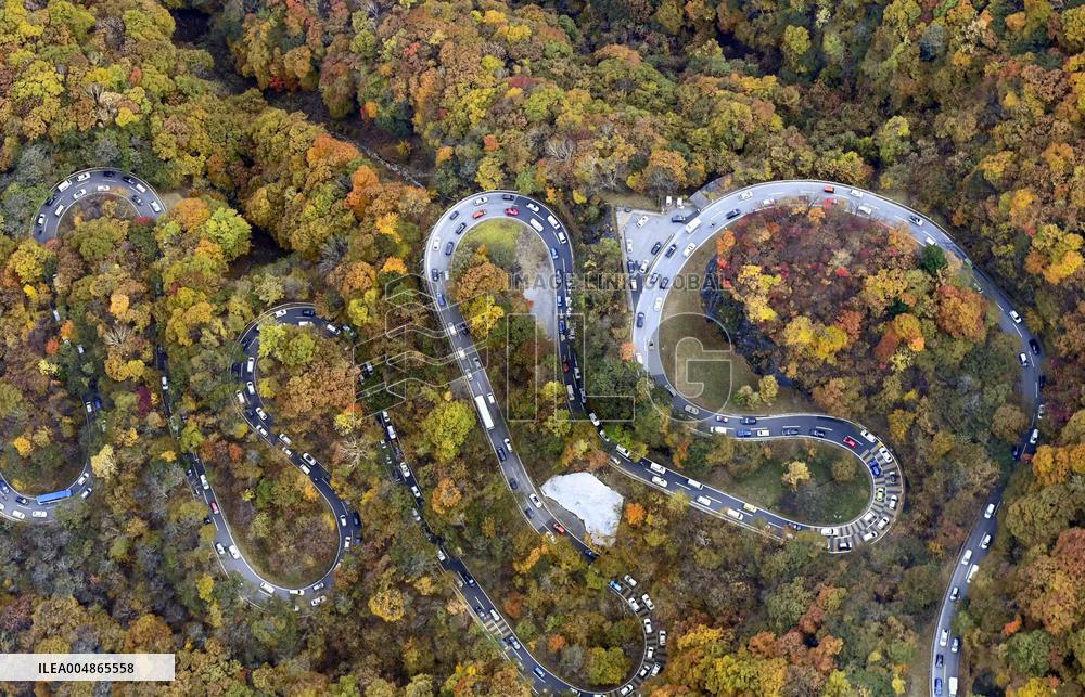 Autumn leaves in Nikko