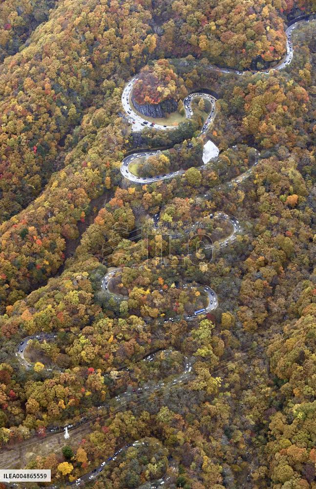 Autumn leaves in Nikko
