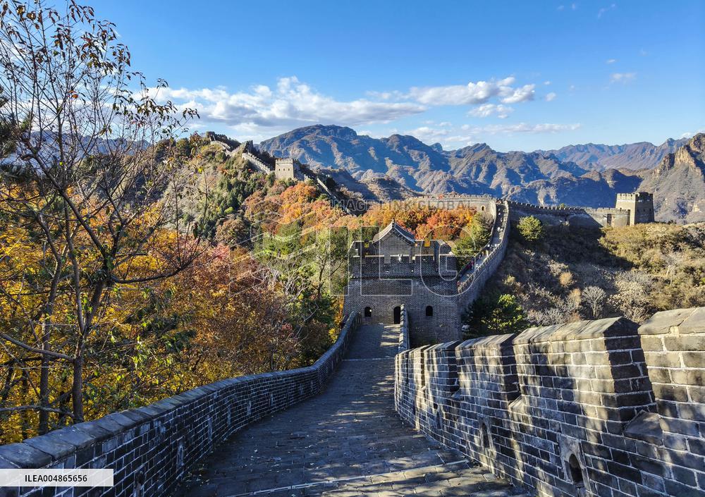 Autumn Scenery - China