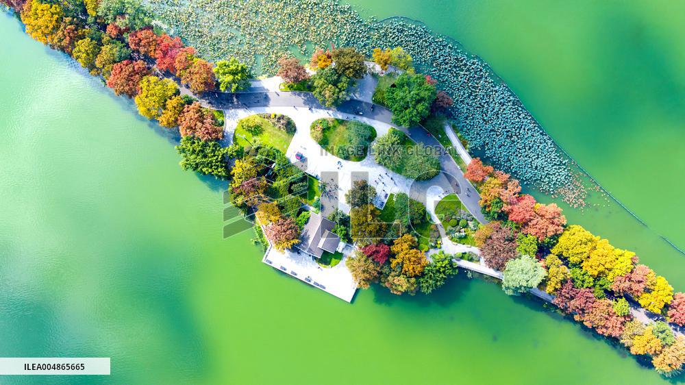 Autumn Scenery - China