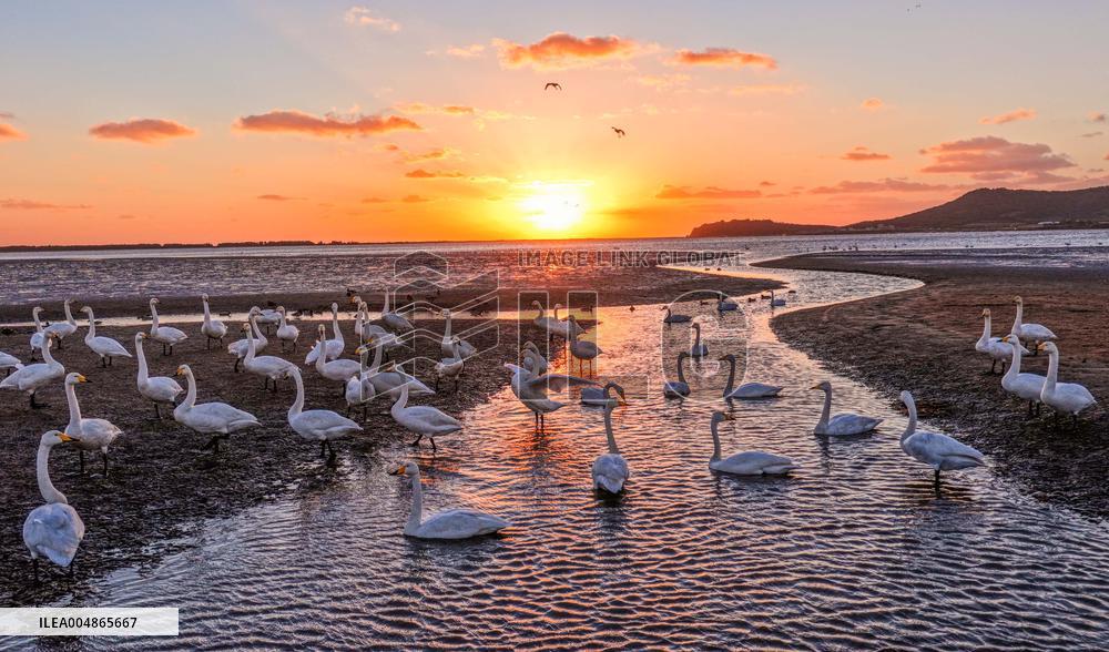 Autumn Scenery - China
