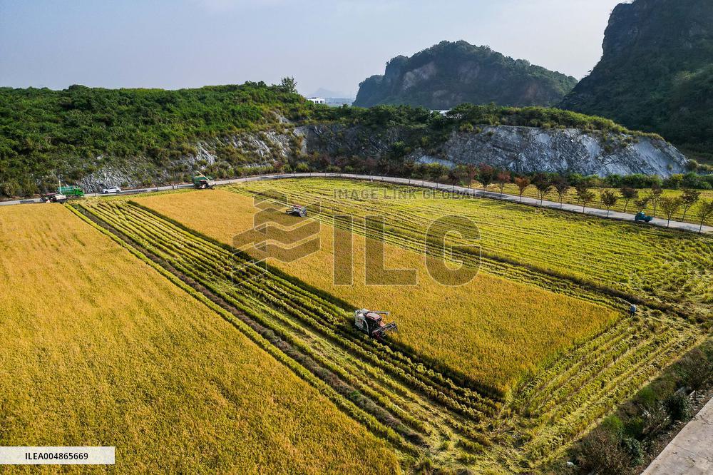 Autumn Scenery - China