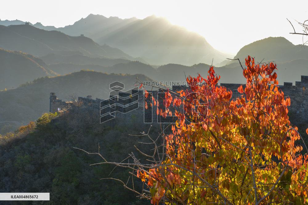 Autumn Scenery - China