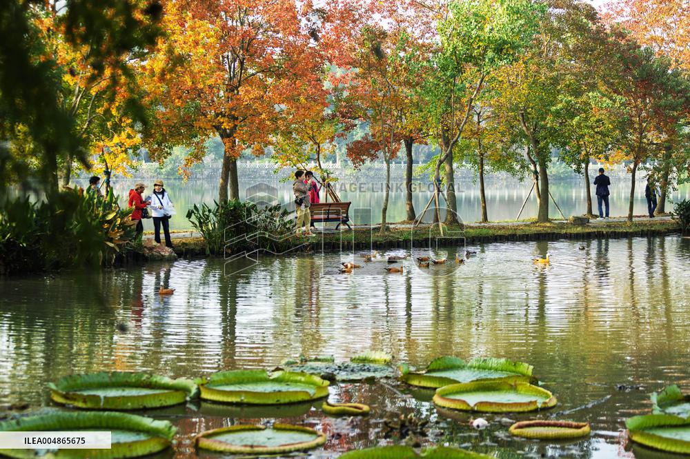 Autumn Scenery - China
