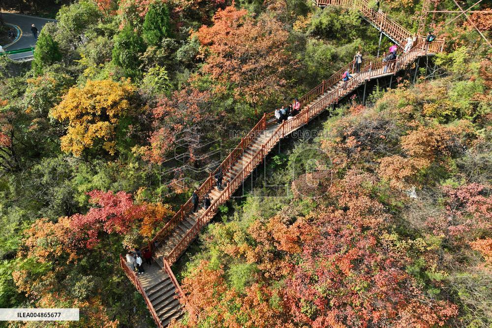 Autumn Scenery - China