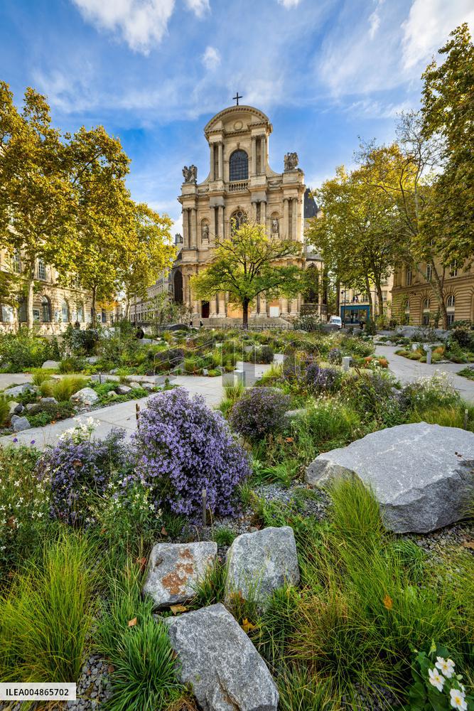 Garden In Tribute To The Victims Of The Paris Attacks - France